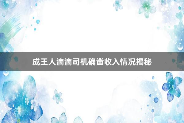 成王人滴滴司机确凿收入情况揭秘